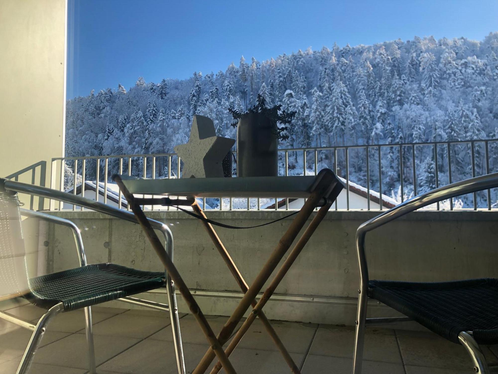 Apartments "Am Ardetzenberg" Feldkirch Buitenkant foto